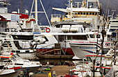 Eine Menge von Booten im alten Hafen von Reykjavik, Island, Reykjavik, Island.