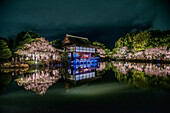 Abend am Heian-Jingu-Schrein in Kyoto, einem Shinto-Schrein, der von weinenden Kirschbäumen umgeben ist, Kyoto, Japan