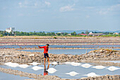 Reisanbau in einer Bauerngemeinde im Süden Kambodschas,Kampot,Kambodscha