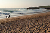 Walking with the dog along Constantine Bay,near Padstow,Cornwall,Great Britain,Cornwall,England