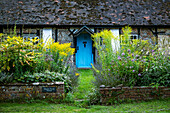 Blaue Tür an einem malerischen Cottage auf dem Lande mit blühenden Blumen in den Blumenbeeten des Hofes, England, Rockbourne, Wiltshire, England