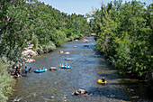 Knollen genießen ein kühles Floß auf dem Clear Creek in Golden,Colorado,USA,Golden,Colorado,Vereinigte Staaten von Amerika