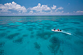 Schlauchboot am Great Barrier Reef, Port Douglas, Nord-Queensland, Australien