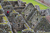 Blick auf den Wohnbereich von Machu Picchu, Machu Picchu, Peru