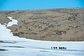 Gruppe wandert entlang des Ufers des Fjords Palanderbukta, Nordaustlandet, Spitzbergen, Norwegen