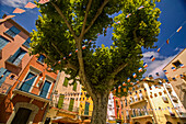 Straßenszene in Collioure, Frankreich, Collioure, Pyrenees Orientales, Frankreich