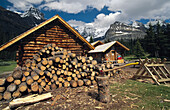 Gehacktes Holz stapelt sich vor einer Blockhütte im Yoho-Nationalpark, BC, Kanada, British Columbia, Kanada