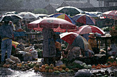 Einkäufer auf einem Freiluftmarkt bei starkem Regen,Commonwealth of Dominica