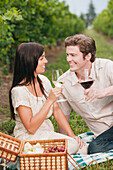 Ehepaar beim Picknick im Weinberg
