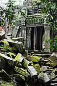Ta-Prohm-Tempel,Angkor,Kambodscha