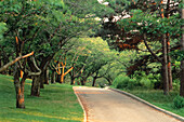 High Park in Summer Toronto,Ontario,Canada