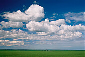 Feld und Wolken bei Moose Jaw, Saskatchewan, Kanada