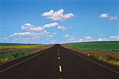 Prairie Highway Route 851,East of Drumheller Alberta,Canada