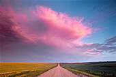 Prairie Road bei Sonnenuntergang in der Nähe von Rosetown, Saskatchewan Kanada