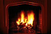 Wood Burning in Fireplace
