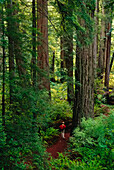 Girl in Prairie Creek Redwoods State Park,California,USA