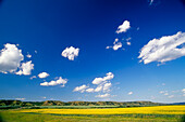 Feld im Qu'Appelle-Tal Saskatchewan, Kanada