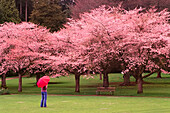 Woman in Stanley Park,Vancouver,British Columbia,Canada