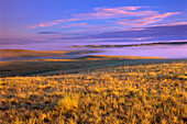 Grasland, Grasland-Nationalpark, Saskatchewan, Kanada