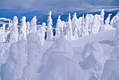 Schneegespenster,Sun Peaks,British Columbia,Kanada