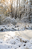 Snowy landscape in Jericho Beach Park,Vancouver,Canada,Vancouver,British Columbia,Canada