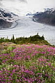 Lachsgletscher,Küstengebirge,British Columbia,Kanada