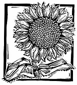 Illustration einer Sonnenblume