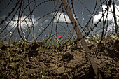 Fence,Golan Heights,Israel