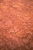 Close-Up of Cracked Earth in Desert