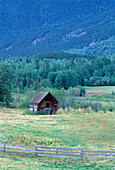 Verlassene Hütte in einem Feld mit Bäumen British Columbia,Kanada