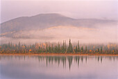 Nebel über Bäumen und Bergen Tetlin National Wildlife Refuge Alaska,USA