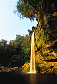 Steilhang und Wasserfall, Misol-Ha, Chiapas, Mexiko