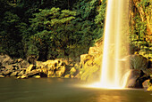Wasserfall, Felsen und Laub, Misol-Ha, Chiapas, Mexiko