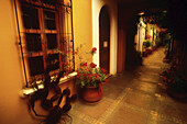 Flowers in Courtyard with Windows And Hallway,Oaxaca,Mexico