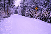 Straße durch Bäume im Winter, Algonquin Provincial Park, Ontario, Kanada