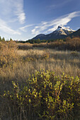 Berge, Feld und Wald, Bow Valley, Banff-Nationalpark, Kanada