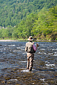 Mann beim Fliegenfischen, Beaverkill River, Catskill Park, New York, USA