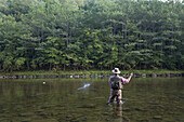 Man Fly Fishing,Cairns Pool,Beaverkill River,Catskill Park,New York,USA