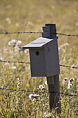 Birdhouse on Fencepost,Kananaskis Country,Alberta,Canada