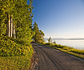 Straße entlang der Küste, Cortes Island, British Columbia, Kanada