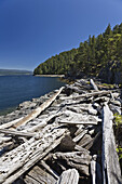 Treibholz am Strand,Cortes Island,British Columbia,Kanada