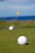 Golf Balls on Green