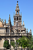 La Giralda, Sevilla Kathedrale, Sevilla, Andalusien, Spanien