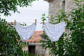 Panties on Clothesline