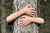 Junge umarmt Baum