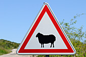 Sheep Crossing Sign