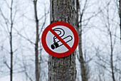Rauchverbotsschild an einem Baumstamm befestigt