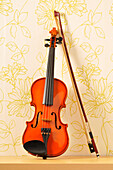 Still Life of Violin
