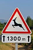 Deer Crossing Sign