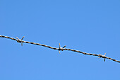 Barbed Wire,Cap d'Agde,Adge,Herault,Languedoc-Roussillon,France